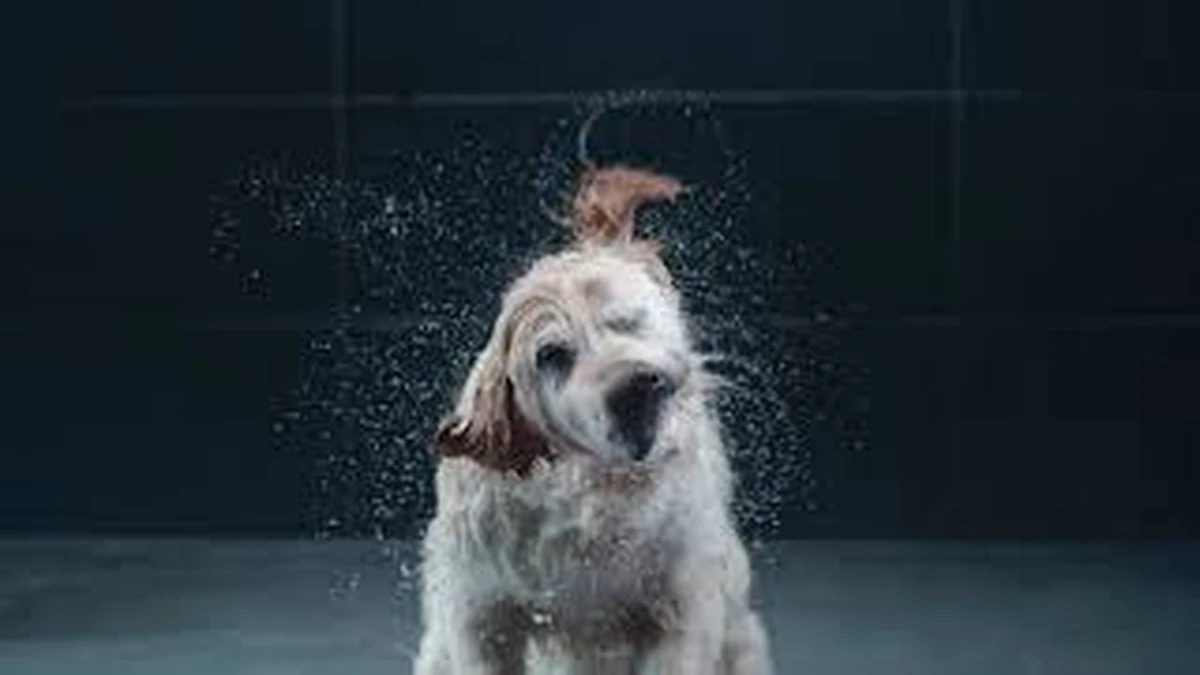 GROHE Euphoria SmartControl 310 Regendouche - CoolTouch - FastFixation - ø 31 Cm - Chroom 16 GROHE Euphoria SmartControl 310 Regendouche - CoolTouch - FastFixation - ø 31 Cm - Chroom - Afbeelding 16