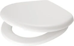 Plieger Royal Toiletbril – Wc Bril Wit – Wc Brillen Met Deksel – RVS Bevestiging 29 Plieger Royal Toiletbril – Wc Bril Wit – Wc Brillen Met Deksel – RVS Bevestiging -Merkloos Verkoop 1200x739 1