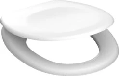 SCHÜTTE WC-Bril 82000 WHITE - Duroplast - RVS-Scharnieren - Gelakt - Wit -Merkloos Verkoop 1200x766 2