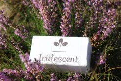 Iridescent Douchekop LED Verlichting – Waterbesparende Douchekop – Hoge Druk Transparant 14 Iridescent Douchekop LED Verlichting – Waterbesparende Douchekop – Hoge Druk Transparant -Merkloos Verkoop 1200x800 60