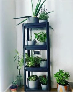 Merkloos Badkamerrek - 4 Etages - Keukenrek - Opbergrek - Staand Badkamerrek - Zwart - 100x36x23 CM 7 Merkloos Badkamerrek - 4 Etages - Keukenrek - Opbergrek - Staand Badkamerrek - Zwart - 100x36x23 CM -Merkloos Verkoop 957x1200 1